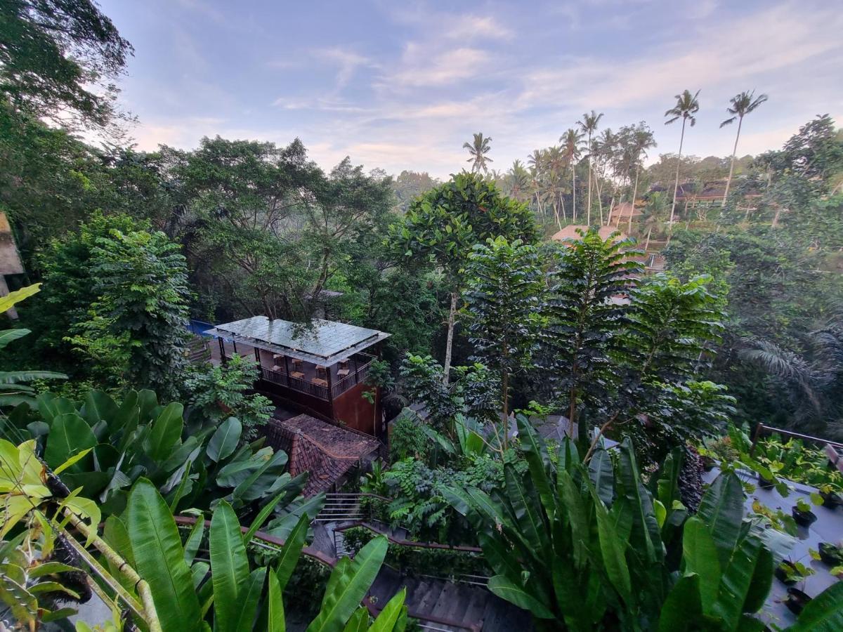 The Sebali Resort ウブド エクステリア 写真 View of the resort