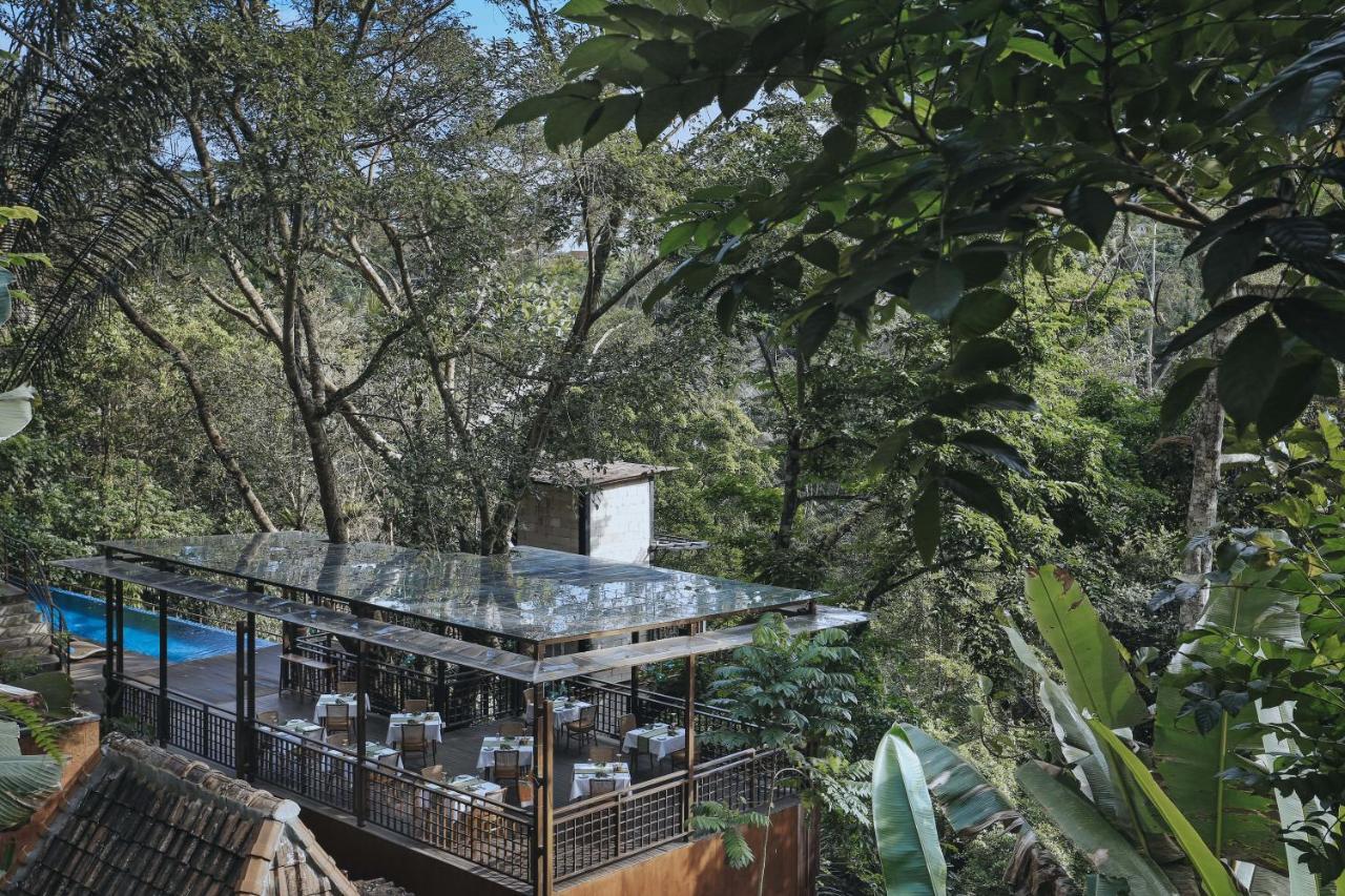 The Sebali Resort ウブド エクステリア 写真 The glass house at the top of the tower