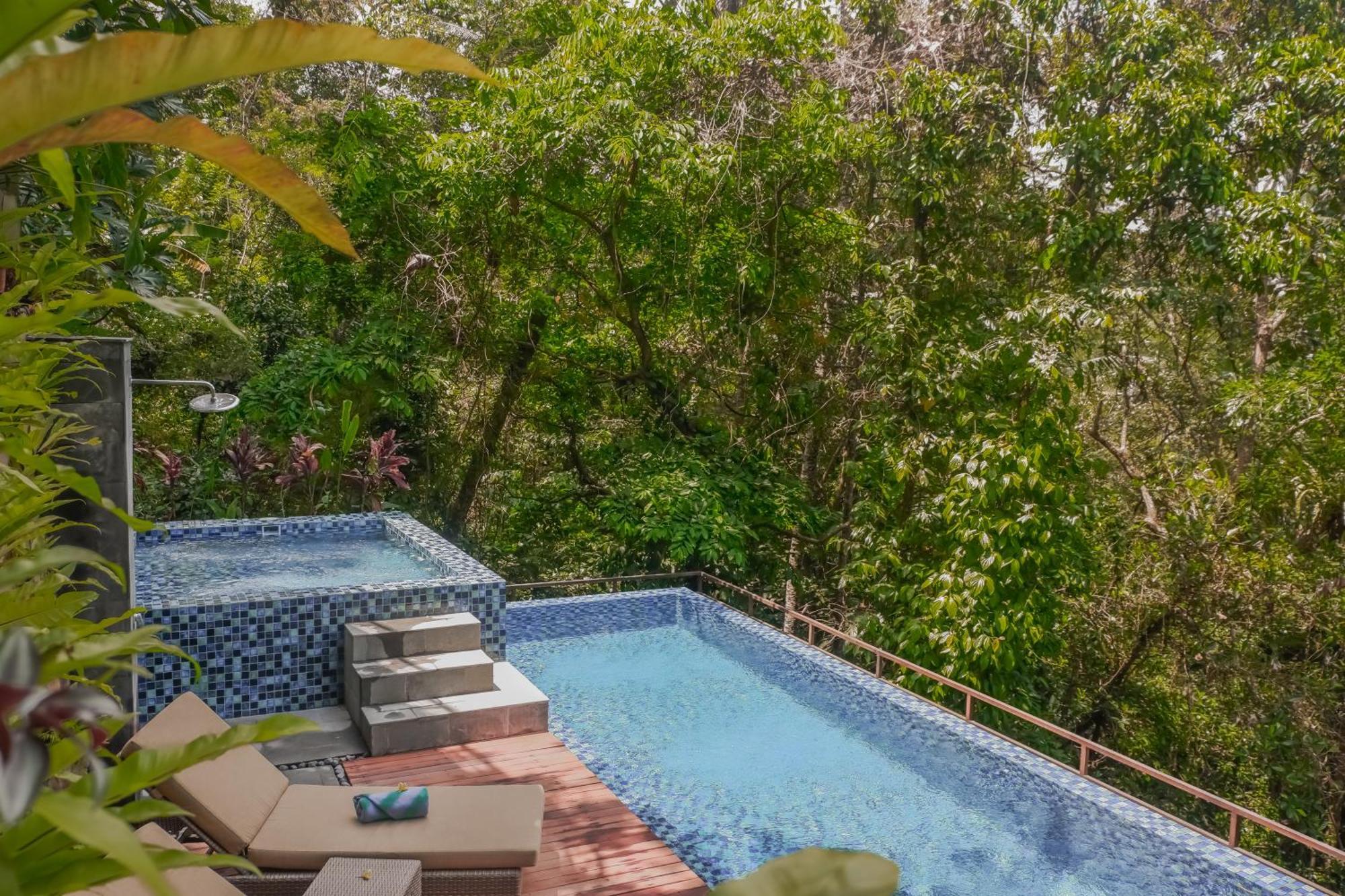 The Sebali Resort ウブド エクステリア 写真 The swimming pool at the resort