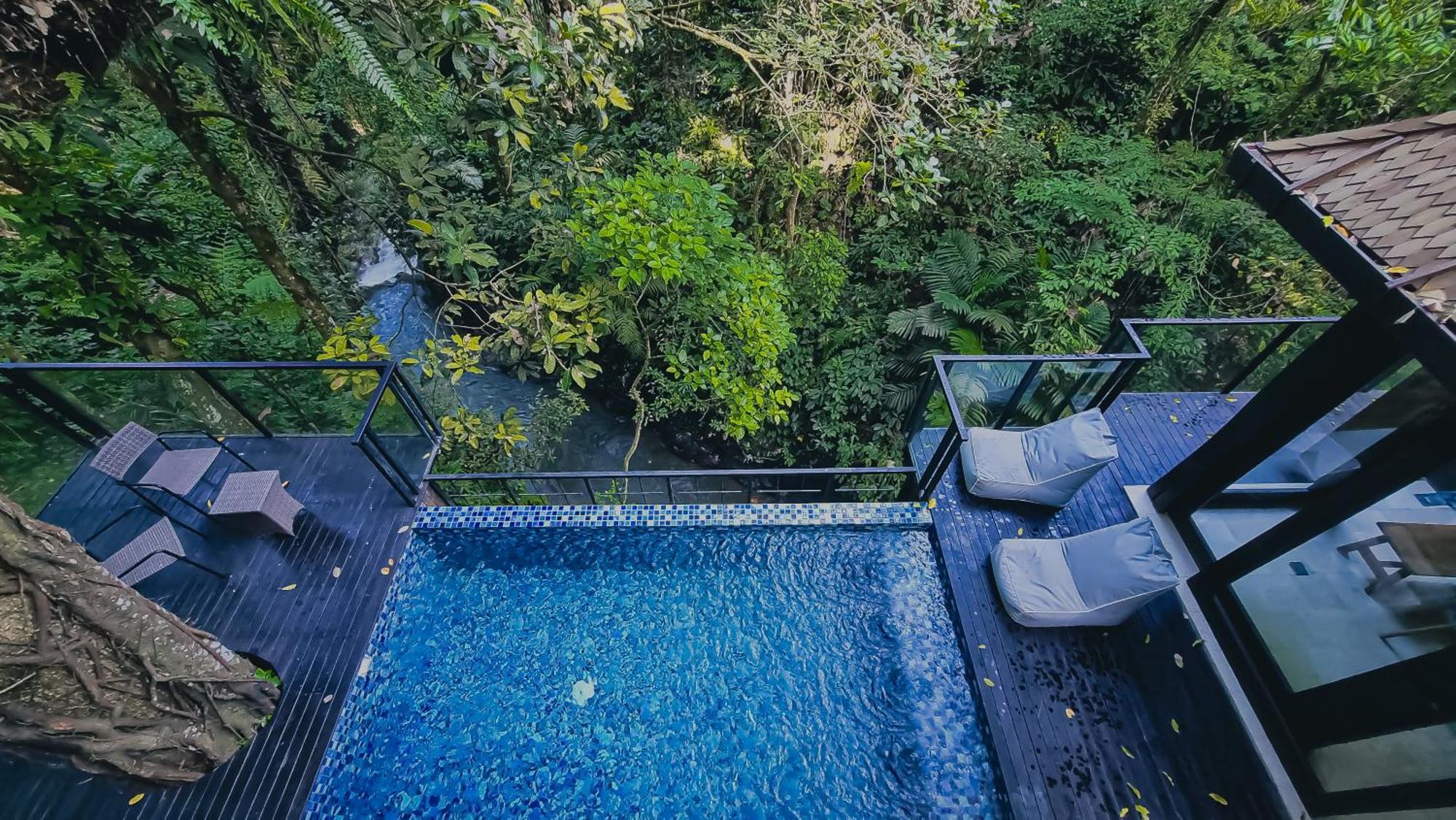 The Sebali Resort ウブド エクステリア 写真 The swimming pool at the resort
