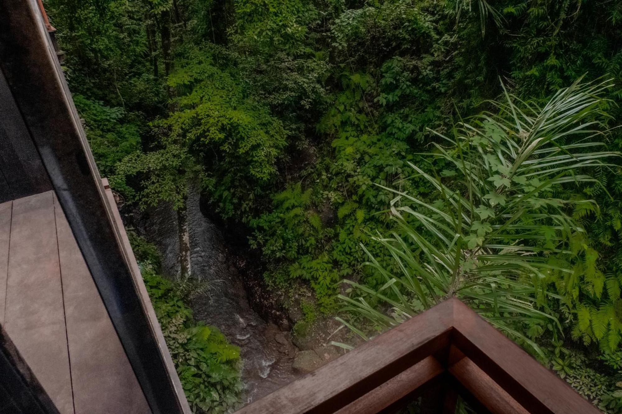 The Sebali Resort ウブド エクステリア 写真 The view from the observation deck