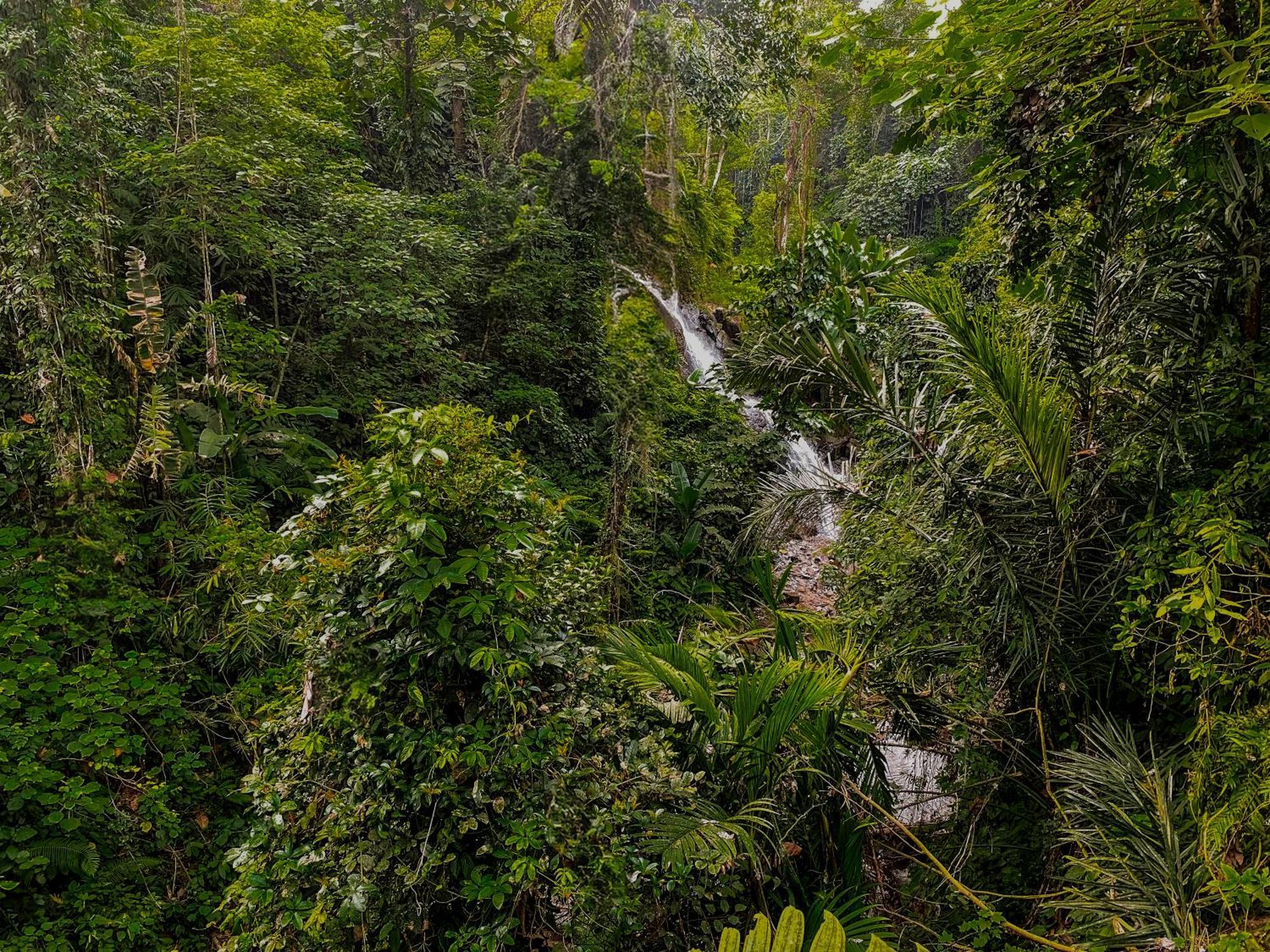 The Sebali Resort ウブド エクステリア 写真 A waterfall in the park